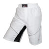 WARX WHITE KICK BOXING UFC MMA GRAPPLING CAGE BOXING FIGHT SHORT