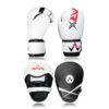 WARX LEATHER WHITE BOXING GLOVES AND FOCUS PADS SET